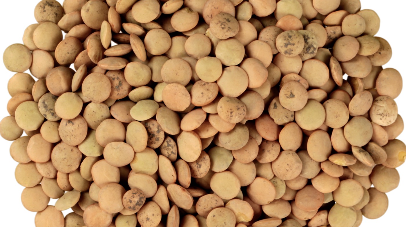Lentils