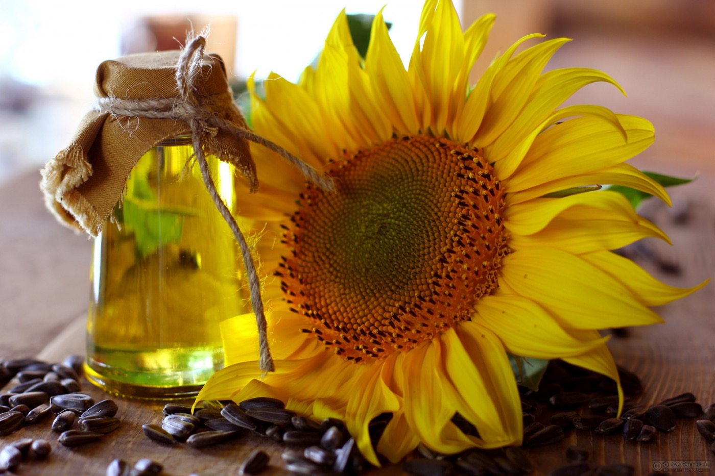 Crude Sunflower Oil